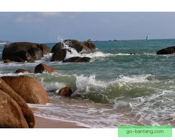 我在海角觅天涯：一场关于寻找与回归的灵魂远征